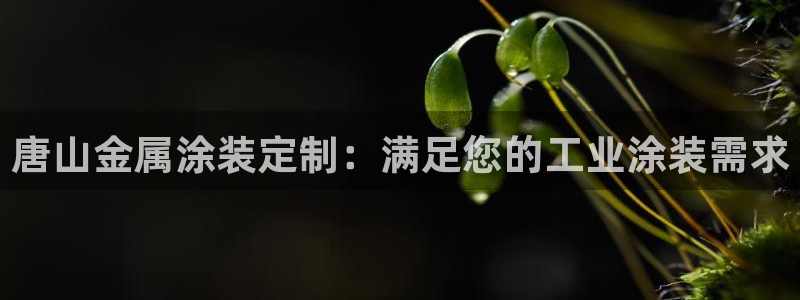 美高梅中国控股有限公司