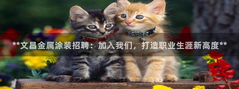 美高梅酒店出名吗