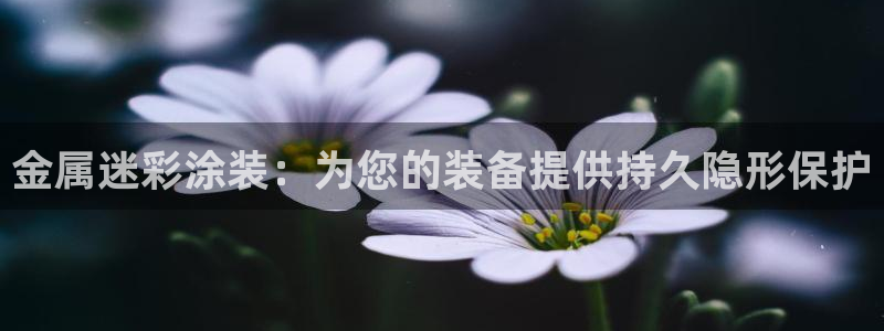 美高梅北京物业管理有限公司