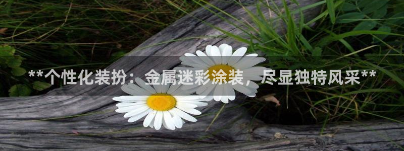 美高梅控股有限公司怎么样
