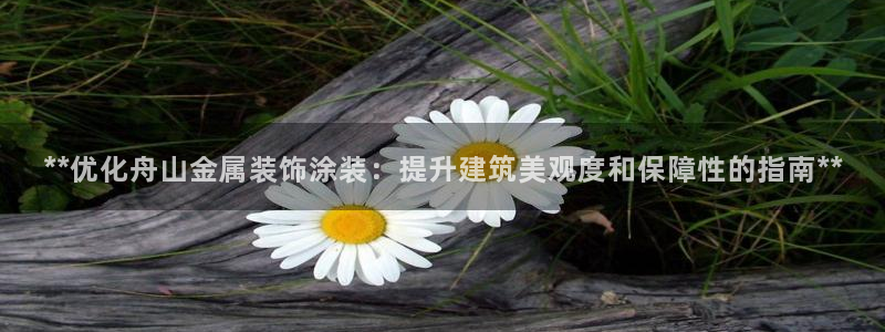 美高梅飞鱼表演在哪里