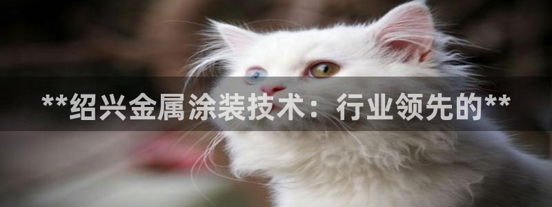 美高梅是哪个集团的品牌