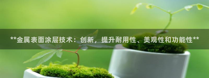 美高梅游戏官网app可以玩吗