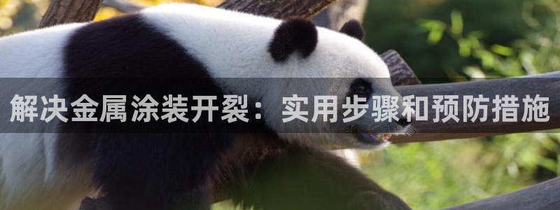 美高梅股票行情