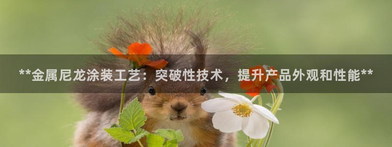 美高梅酒店集团是哪个国家的