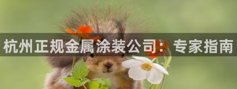 美狮美高梅酒店和美高梅