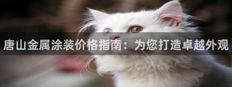 何超琼建美高梅酒店有什么意义