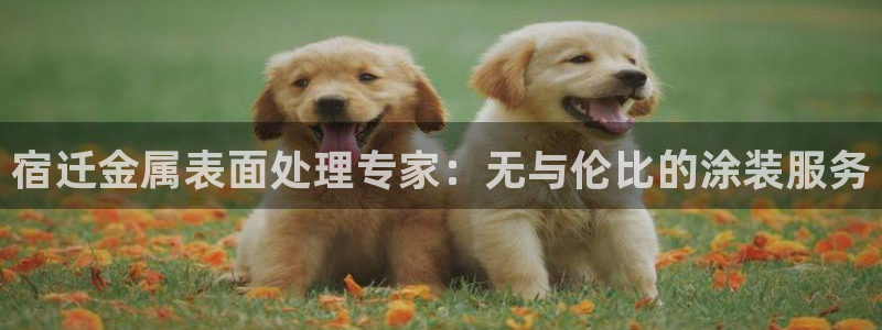 美高梅公馆公寓