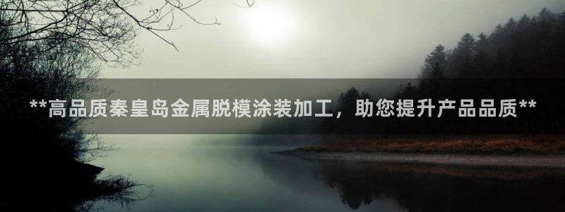 美高梅和永利是一家吗