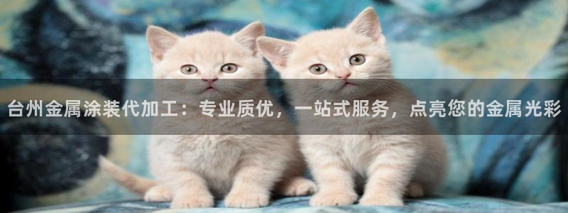 美高梅酒店集团简介