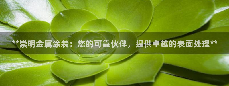 美高梅酒店介绍