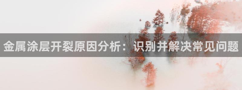 美高梅空中海洋秀是免费的吗