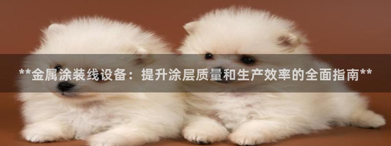 美高梅提现提不出来