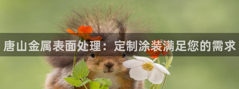 美高梅酒店介绍