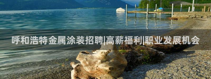 美高梅中国股票