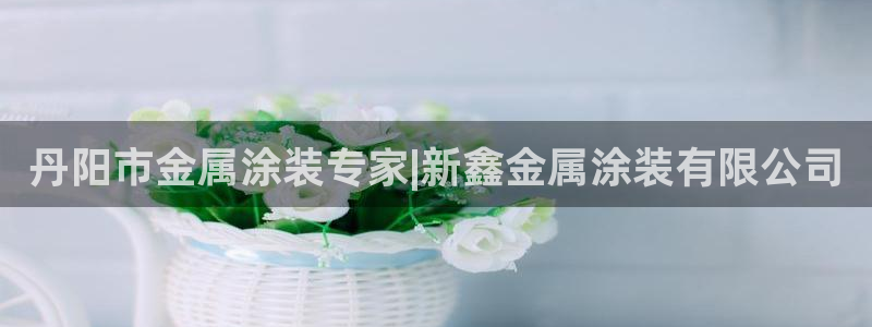 美国美高梅酒店集团