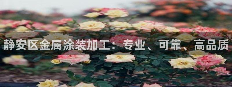 美狮美高梅酒店是几星级