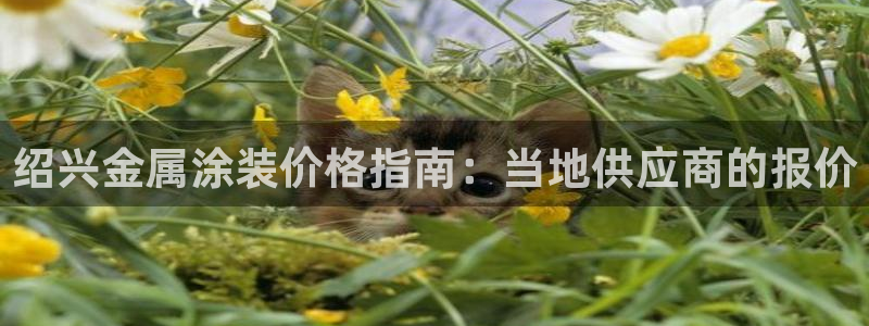 美高梅控股有限公司