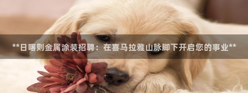 美高梅是做什么的品牌
