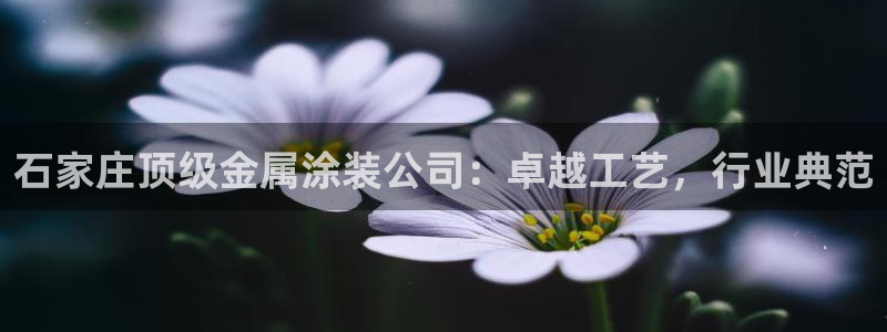 鲁能钓鱼台美高梅公馆售价