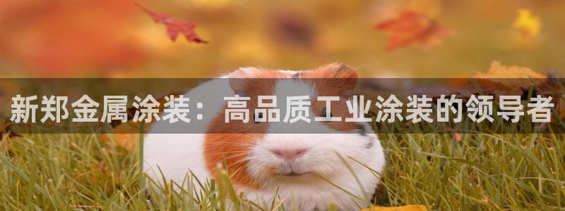 美高梅公司电子邮件地址