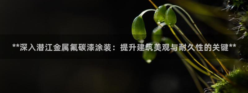 美高梅酒店香味