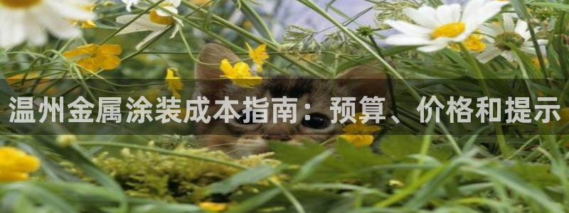 美高梅酒店停车收费吗