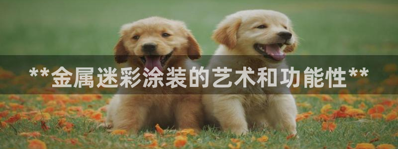 美高梅何超琼