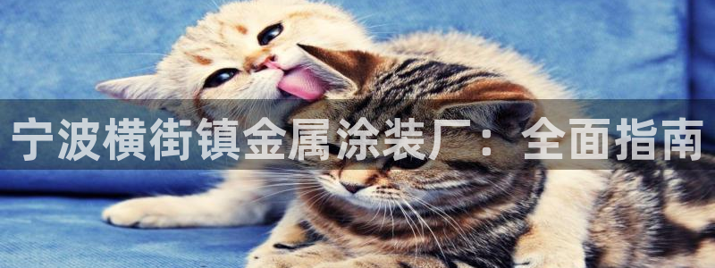 美高梅中国控股有限公司