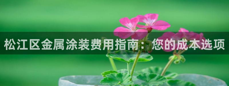 美高梅老板何超琼