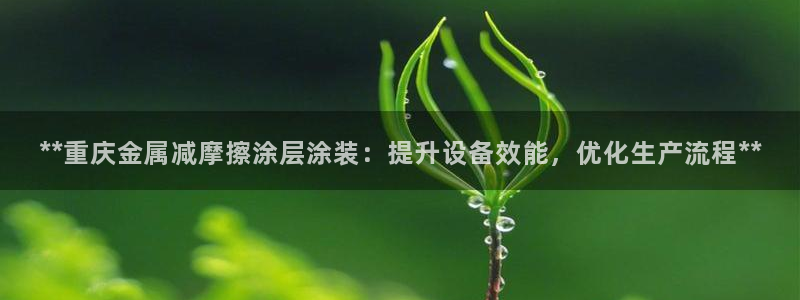 美高梅官方游戏网安卓版