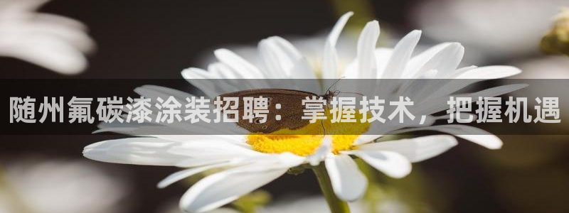 美高梅何超琼年薪