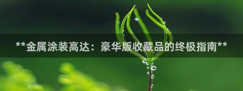 美高梅酒店房间