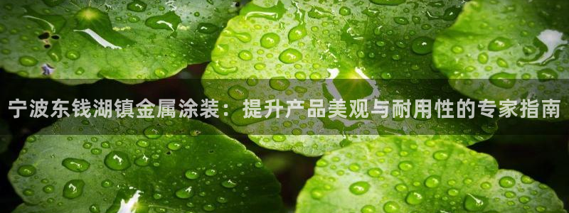 美高梅酒店招聘信息