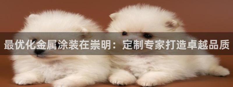 美高梅是哪个集团旗下的