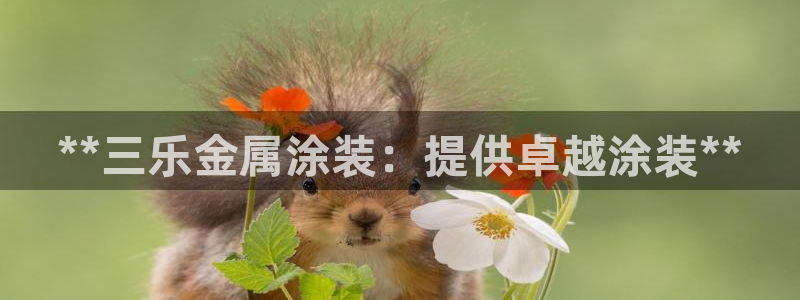 美狮美高梅酒店里面有什么好吃的