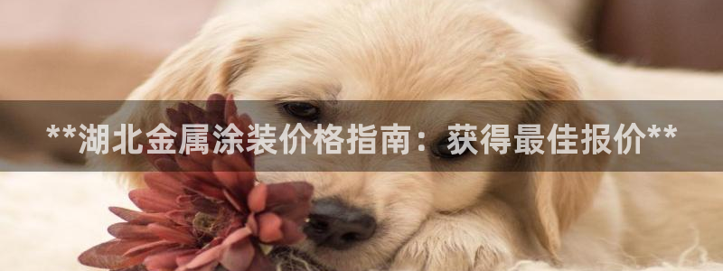 美高梅贵宾厅有哪些