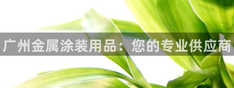 美高梅股票今天怎么了