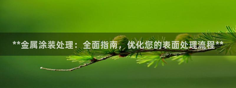 美高梅最大筹码