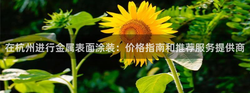 美狮美高梅酒店房间数量