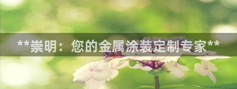 美高梅国际酒店集团的总部位于哪里