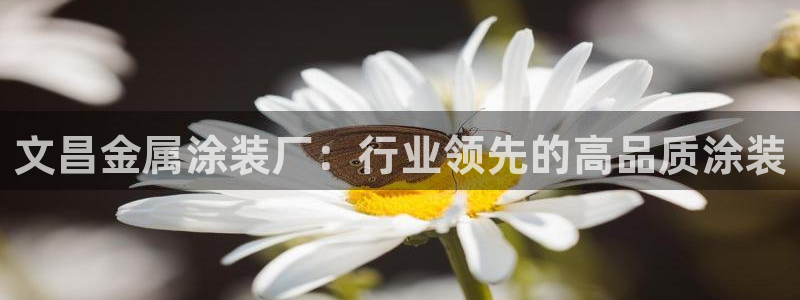 美高梅酒店全年自助