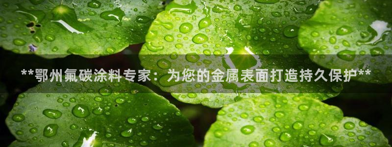 鲁能钓鱼台美高梅楼盘详情