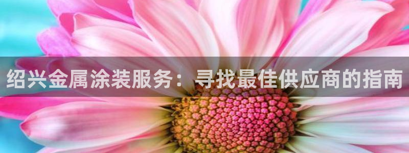 美高梅酒店儿童洗发水