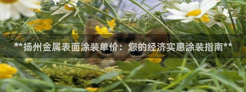 美狮美高梅酒店狮子