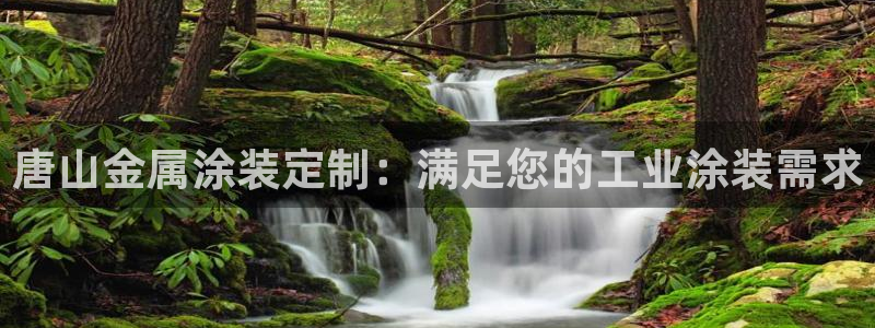 美高梅有限公司