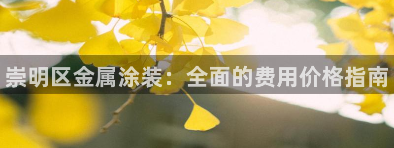 美高梅酒店分布