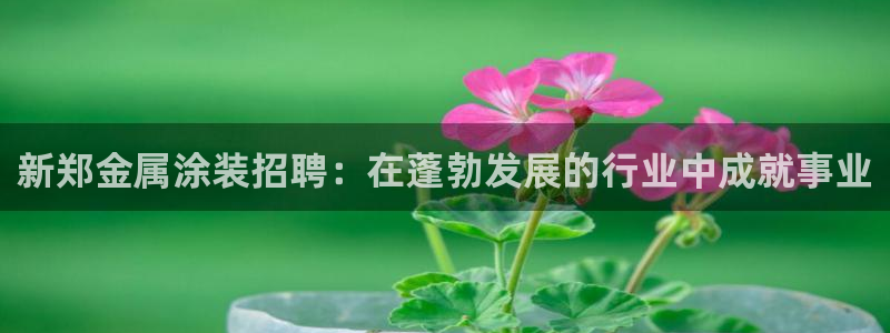 美高梅酒店旗下品牌大全
