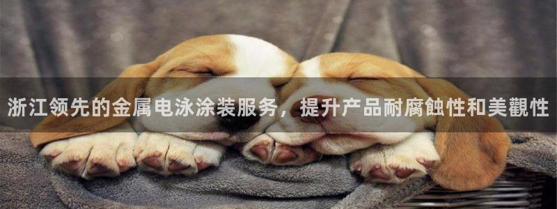 美高梅酒店会员卡