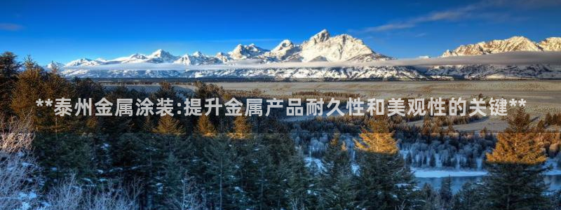 美高梅股票代码02282最近行情怎么样